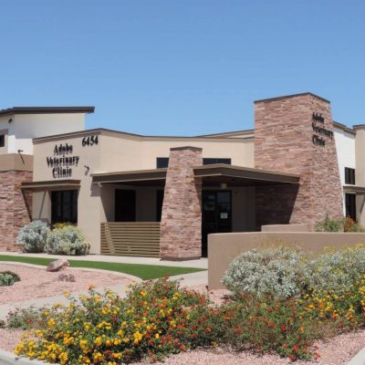 Adobe Vet